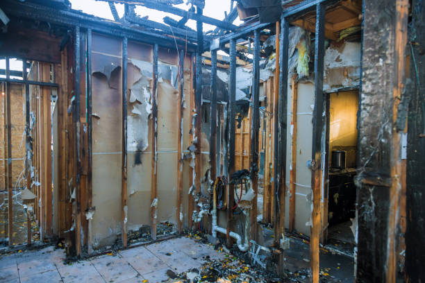 Professional Smoke Damage Removal technician working in Bon Air, VA